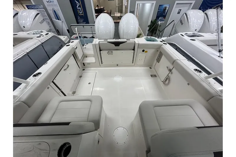 Slide: The Image of Sailfish 276 DC 2024 - 29