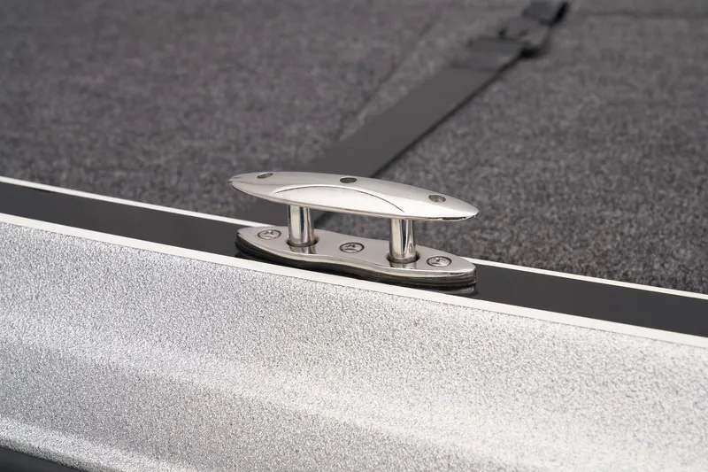 Slide: The Image of Triton 21XP Patriot 2025 - 34