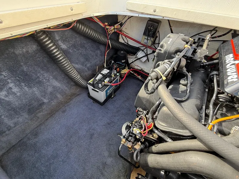 Slide: The Image of Coronado Cardel 1990 - 29