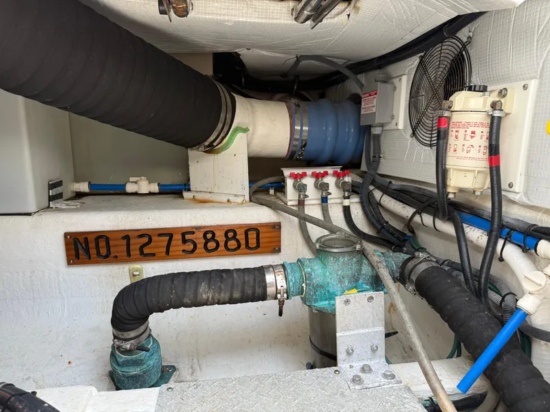 Slide: The Image of Back Cove 41 2017 - 65