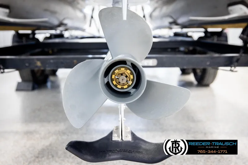 Slide: The Image of Avalon GS CR 2019 - 51