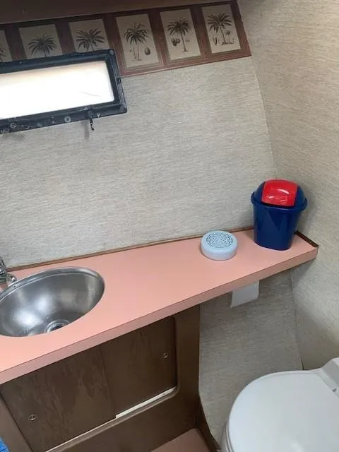 Slide: The Image of 1965 Chris-Craft 460 Constellation bathroom with sink, toilet, and decorative palm tree border. - 13