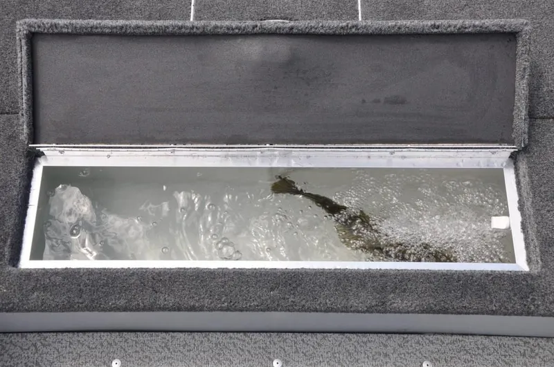 Slide: The Image of Manufacturer Provided Image: Livewell compartment in 2020 Lund 1600 Fury Tiller boat filled with water. - 16