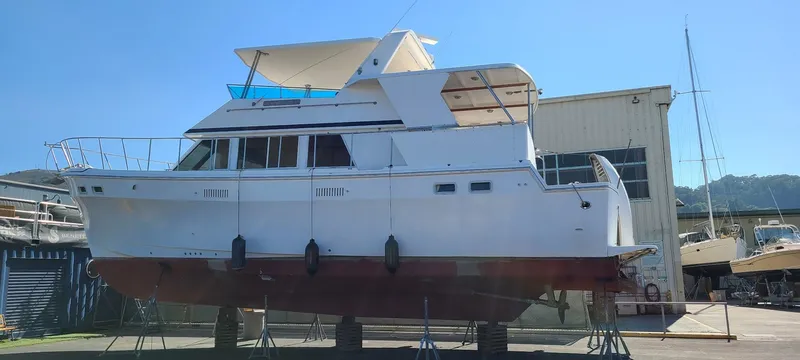 Slide: The Image of Out of the water 1 - 13