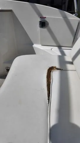 Slide: The Image of Sea Ray 260 Sundeck 2007 - 24