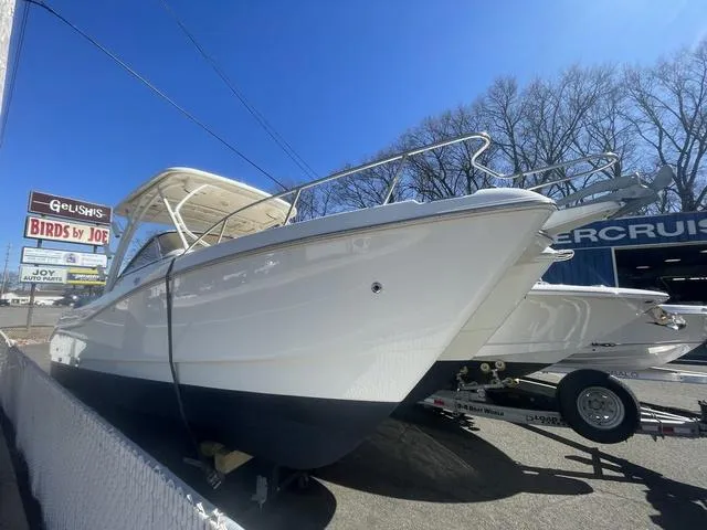 Slide: The Image of World Cat 255 DC 2015 - 1