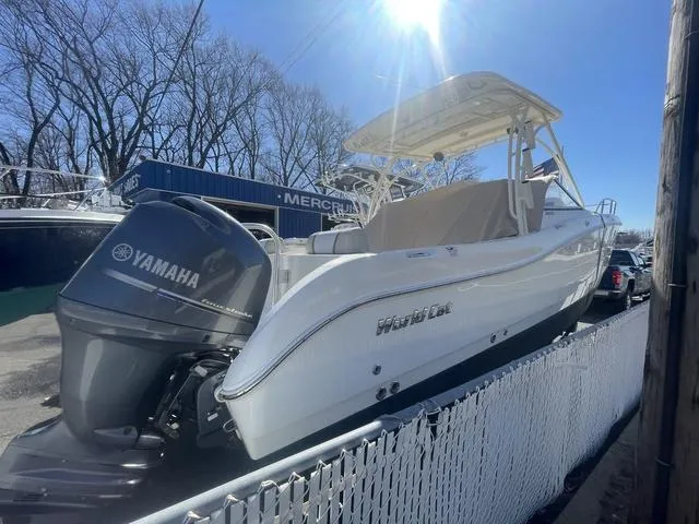 Slide: The Image of World Cat 255 DC 2015 - 2