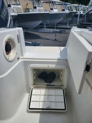 Slide: The Image of Sail Fish 218 CC 2004 - 32