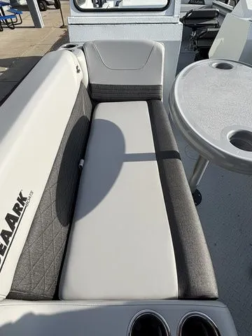 Slide: The Image of SeaArk Easy Cat / DF300APXSS 2026 - 16