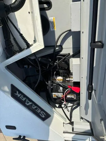 Slide: The Image of SeaArk Easy Cat / DF300APXSS 2026 - 29