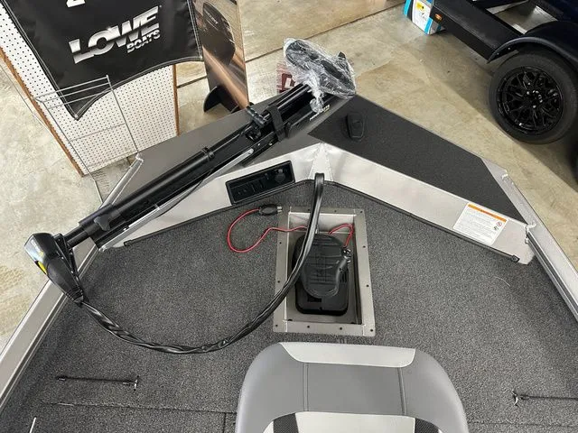 Slide: The Image of Lowe Stinger 5 Series 195 Bass 2025 - 3