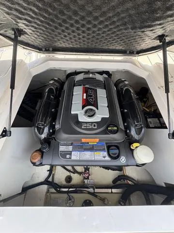 Slide: The Image of Chaparral 21SSI 2020 - 10