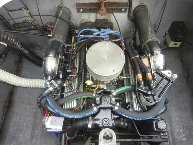 Slide: The Image of Dozni Minx 1987 - 15