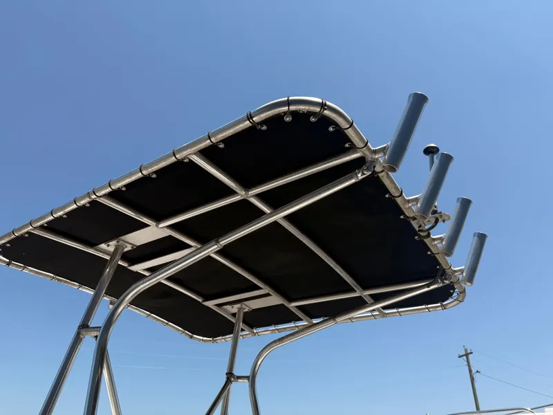 Slide: The Image of Carolina 198 DLV 2007 - 15