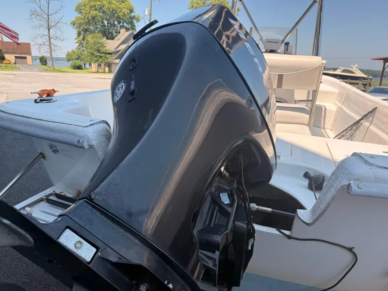 Slide: The Image of Carolina 198 DLV 2007 - 18