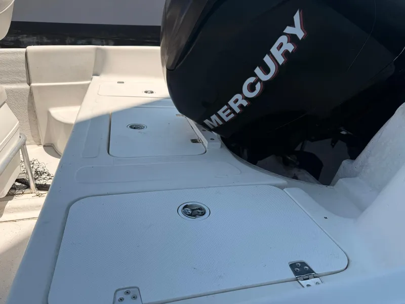 Slide: The Image of Carolina 198 DLV 2007 - 19