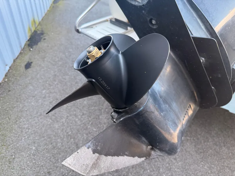 Slide: The Image of Carolina 198 DLV 2007 - 20