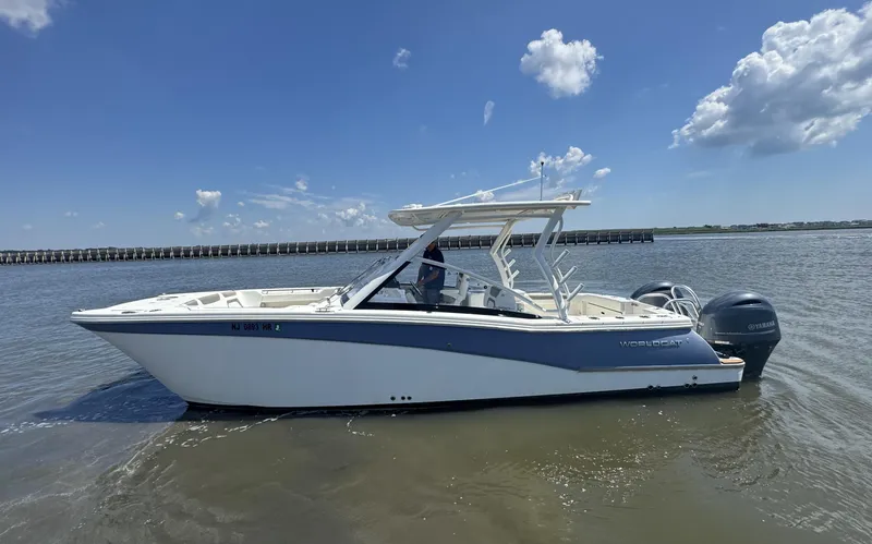 Slide: The Image of World Cat 280DC-x 2021 - 2