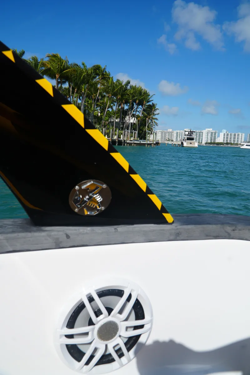 Slide: The Image of Boat speaker with scenic waterfront view, palm trees, and buildings under a clear blue sky. - 22