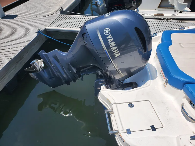 Slide: The Image of Chaparral 21 H2O Sport OB 2018 - 24