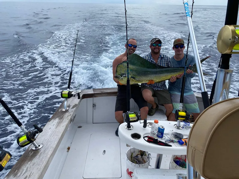 Slide: The Image of Custom Stardust 32 Express 2005 - 55