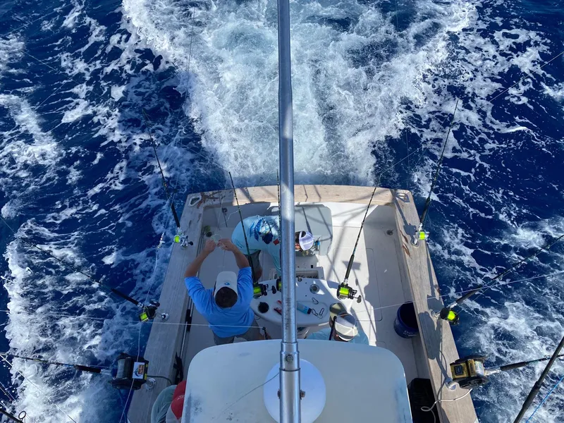 Slide: The Image of Custom Stardust 32 Express 2005 - 57