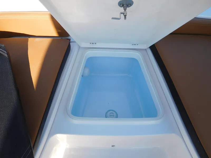 Slide: The Image of Robalo 226 Cayman 2024 - 13