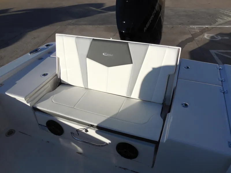 Slide: The Image of Robalo 266 Cayman 2024 - 8