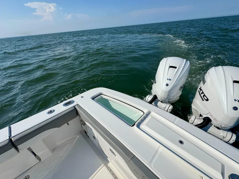 Slide: The Image of Regulator Marine 31 2024 - 18