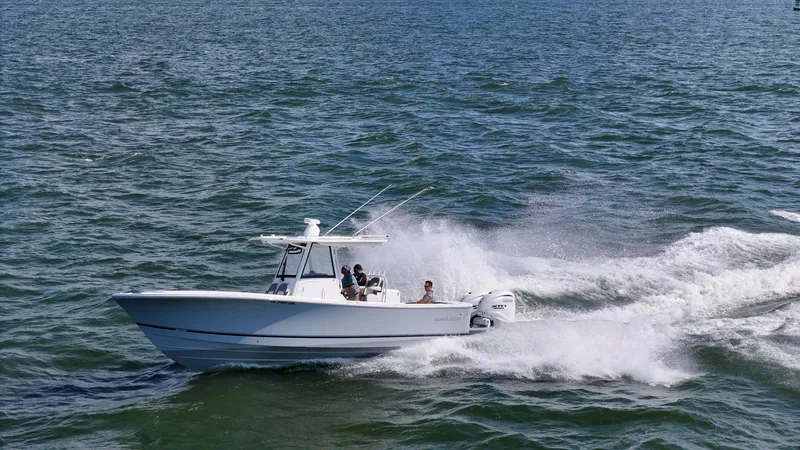 Slide: The Image of Regulator Marine 31 2024 - 32