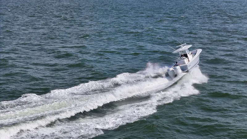 Slide: The Image of Regulator Marine 31 2024 - 40