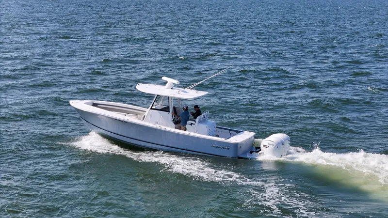 Slide: The Image of Regulator Marine 31 2024 - 45