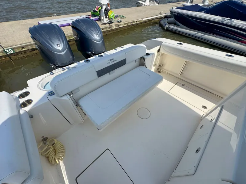 Slide: The Image of Cobia 301 2021 - 13