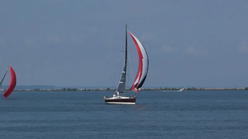 Slide: The Image of C&C 115 2006 - 1