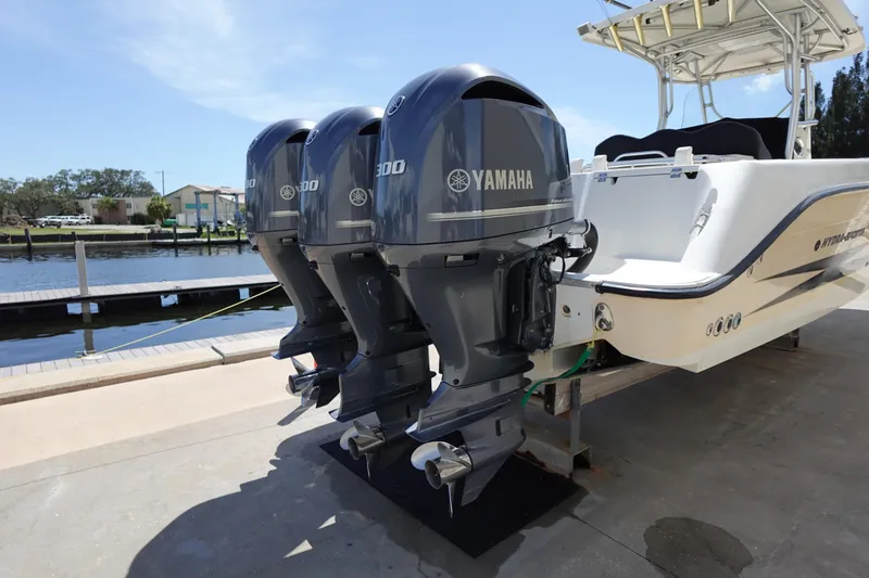 Slide: The Image of Hydra-Sports Vector 3300 CC 2005 - 70