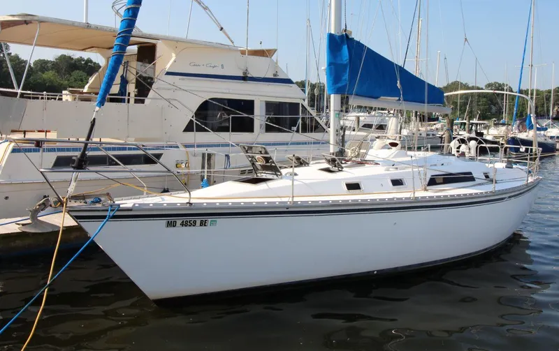 The Image of 1987 Hunter 34 sailboat docked at marina, featuring blue sail cover and white hull. - 0