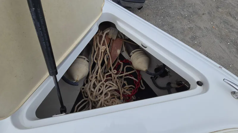 Slide: The Image of Cobalt 232 2007 - 14