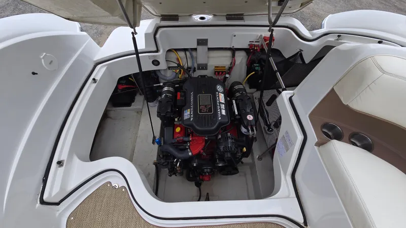 Slide: The Image of Cobalt 232 2007 - 38