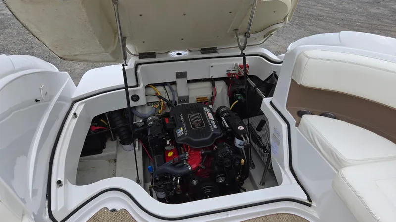 Slide: The Image of Cobalt 232 2007 - 42