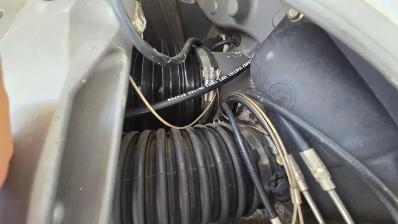 Slide: The Image of Cobalt 232 2007 - 43