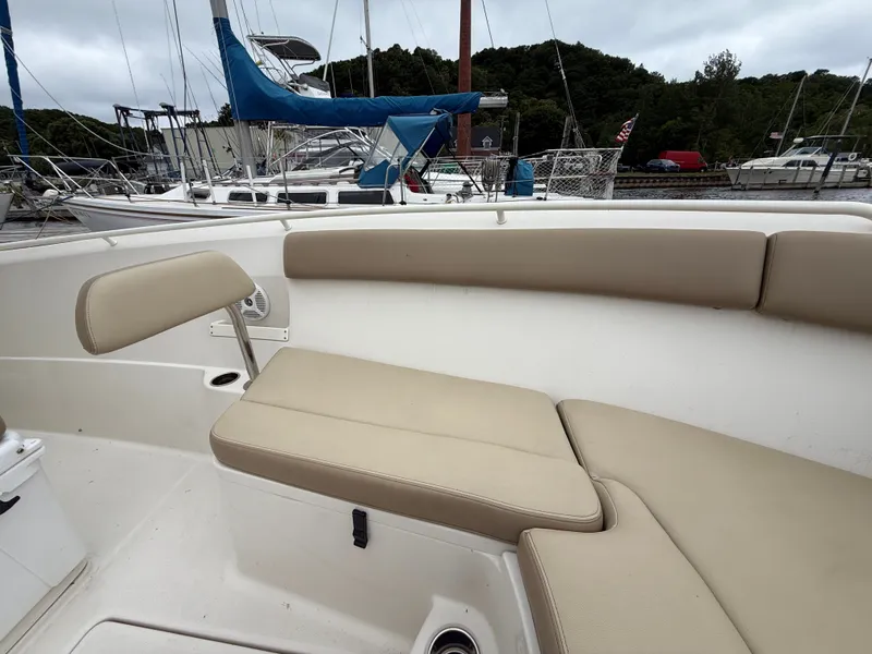 Slide: The Image of Sailfish 270 CC 2017 - 21