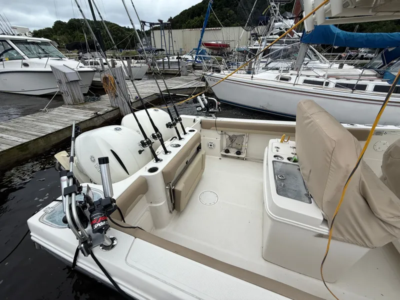 Slide: The Image of Sailfish 270 CC 2017 - 4