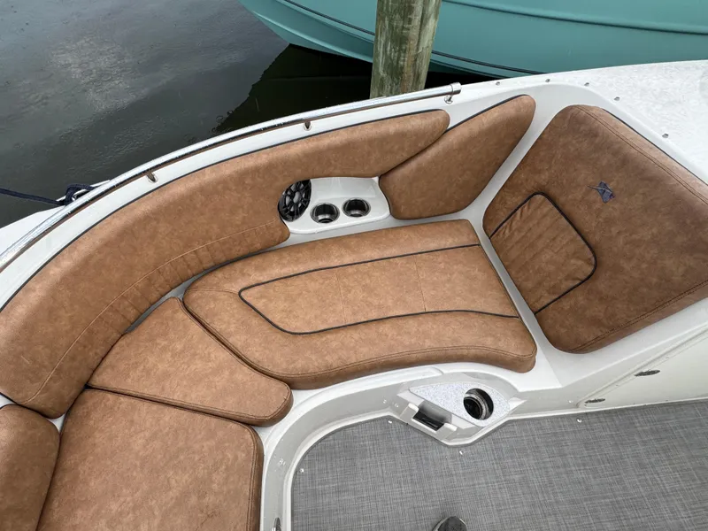 Slide: The Image of Stingray 231 DC 2021 - 13