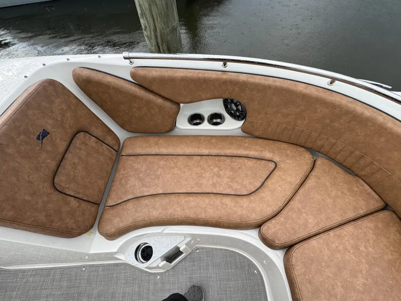 Slide: The Image of Stingray 231 DC 2021 - 15