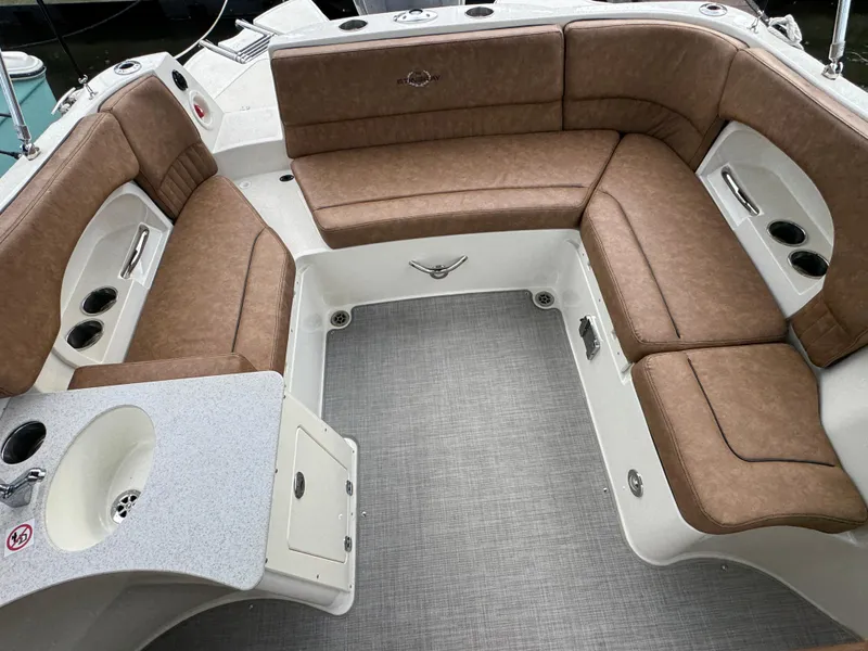 Slide: The Image of Stingray 231 DC 2021 - 19