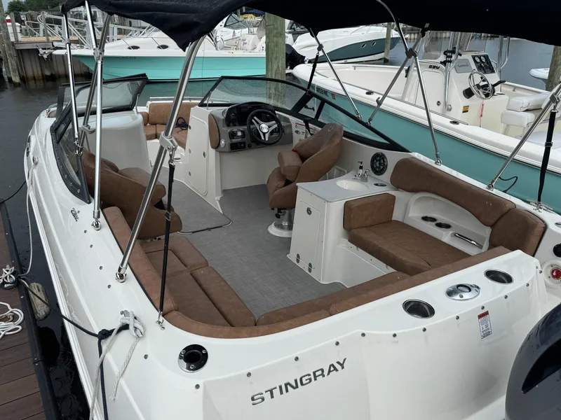 Slide: The Image of Stingray 231 DC 2021 - 3