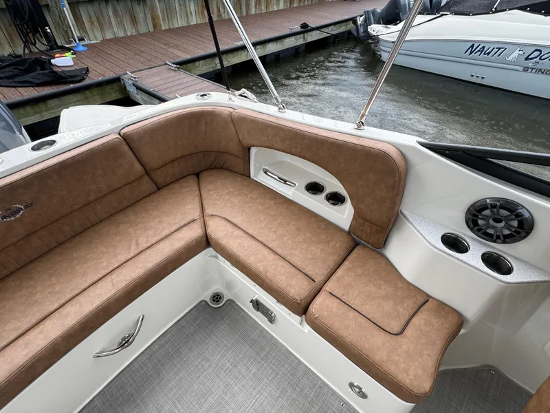 Slide: The Image of Stingray 231 DC 2021 - 4