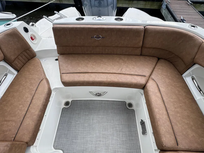 Slide: The Image of Stingray 231 DC 2021 - 6