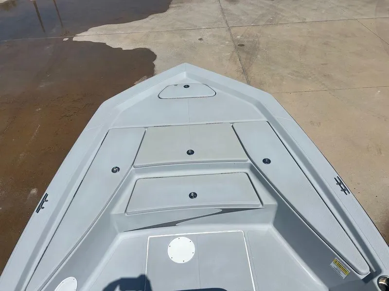 Slide: The Image of Blue Wave 1900STL 2017 - 14