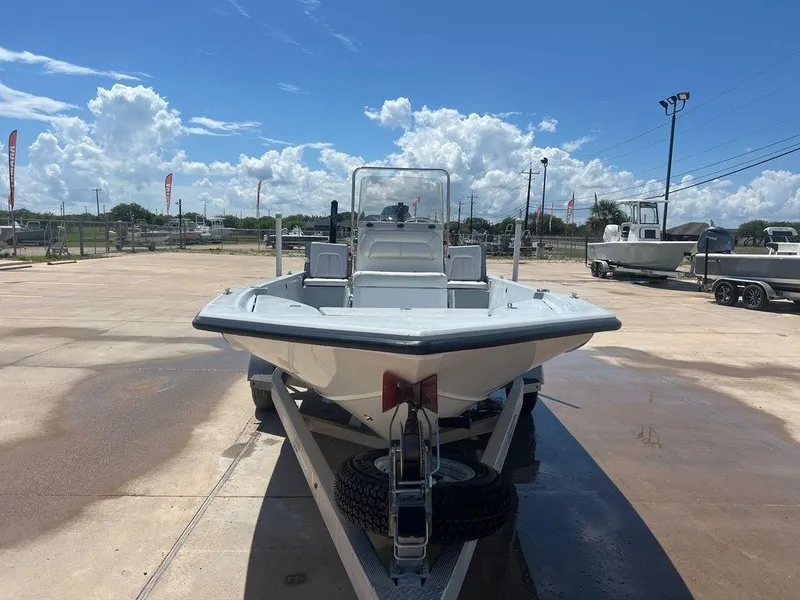 Slide: The Image of Blue Wave 1900STL 2017 - 6